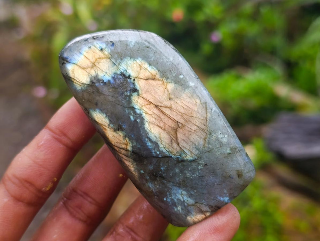 Polished Labradorite Standing Free Forms x 6 From Tulear, Madagascar