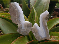 Polished On One Side Blue Lace Agate Geodes x 12 From Nsanje, Malawi
