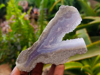 Polished On One Side Blue Lace Agate Geodes x 12 From Nsanje, Malawi