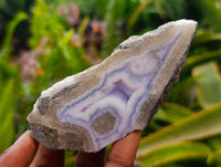 Polished On One Side Blue Lace Agate Geodes x 12 From Nsanje, Malawi