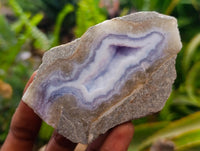 Polished On One Side Blue Lace Agate Geodes x 12 From Nsanje, Malawi
