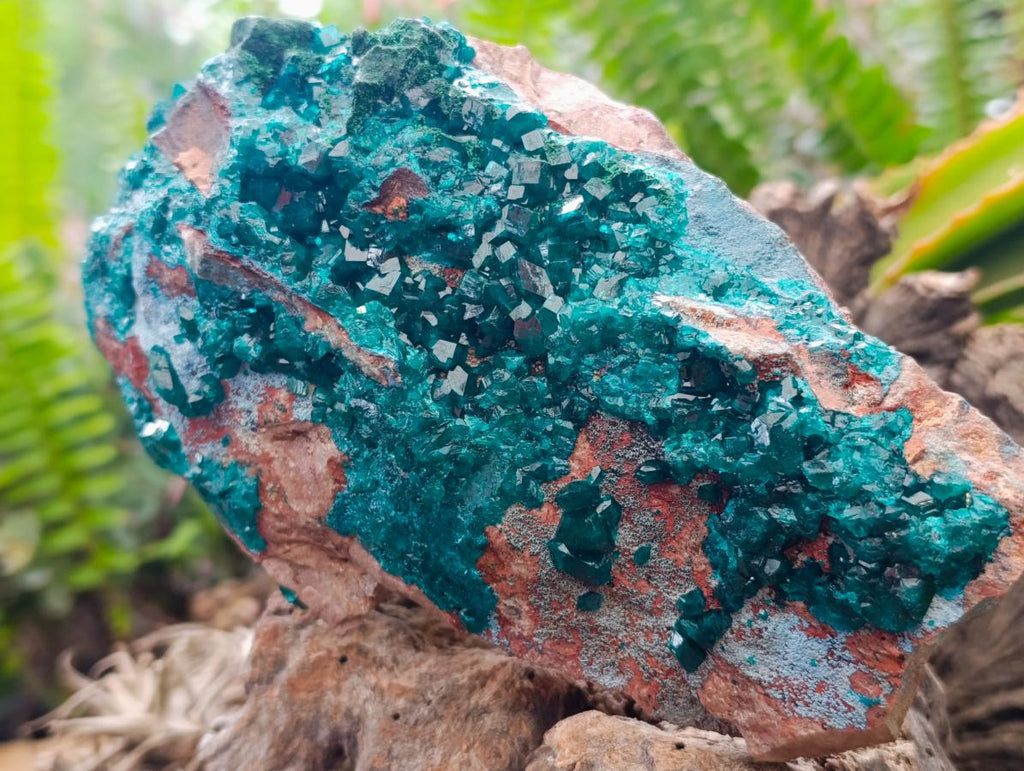 Natural Dioptase And Shattuckite On Dolomite Specimen x 1 From Likasi, Congo
