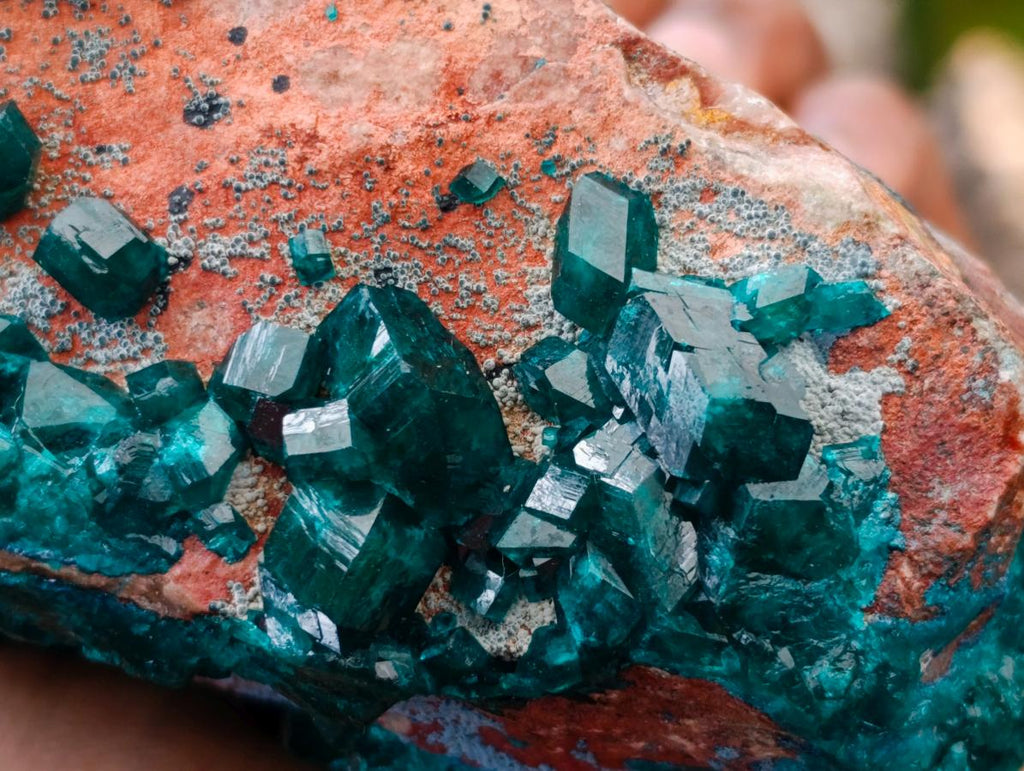 Natural Dioptase And Shattuckite On Dolomite Specimen x 1 From Likasi, Congo