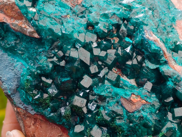 Natural Dioptase And Shattuckite On Dolomite Specimen x 1 From Likasi, Congo