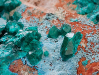 Natural Dioptase And Shattuckite On Dolomite Specimen x 1 From Likasi, Congo