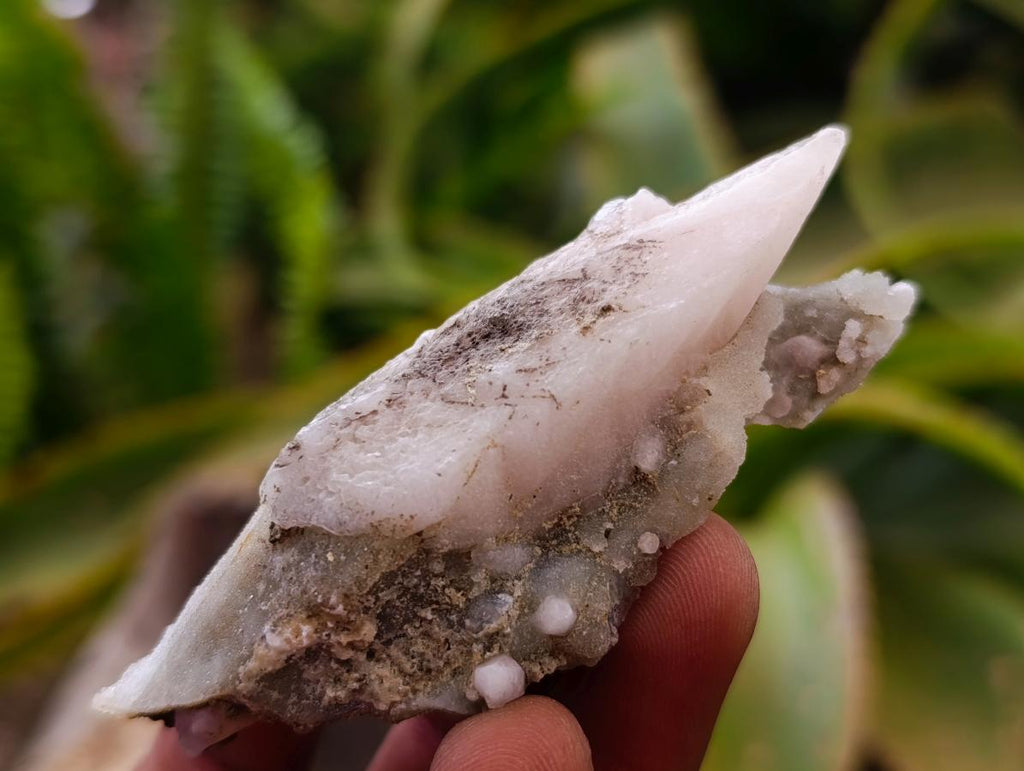Natural Drusy Quartz Coated Spearhead Calcite Specimens x 35 From Albert's Mountain, Lesotho