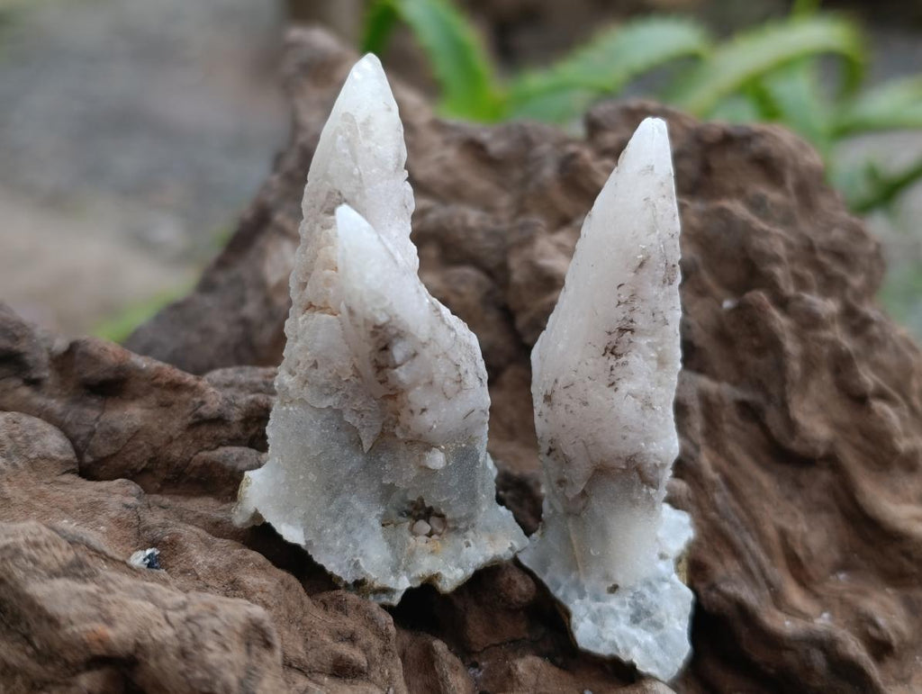 Natural Drusy Quartz Coated Spearhead Calcite Specimens x 35 From Albert's Mountain, Lesotho