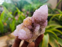 Natural Drusy Amethyst Spirit Clusters x 6 From Boekenhouthoek, South Africa
