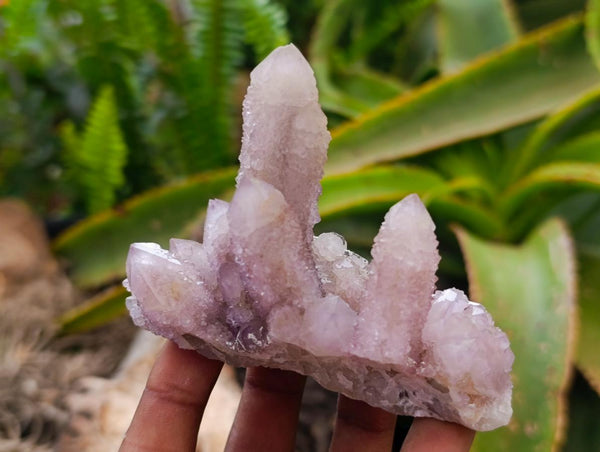 Natural Drusy Amethyst Spirit Clusters x 6 From Boekenhouthoek, South Africa