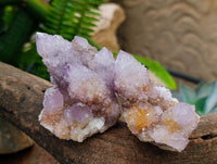 Natural Drusy Amethyst Spirit Clusters x 6 From Boekenhouthoek, South Africa