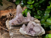 Natural Drusy Amethyst Spirit Clusters x 6 From Boekenhouthoek, South Africa
