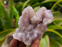 Natural Drusy Amethyst Spirit Clusters x 6 From Boekenhouthoek, South Africa