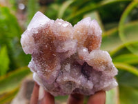 Natural Drusy Amethyst Spirit Clusters x 6 From Boekenhouthoek, South Africa