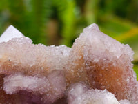 Natural Drusy Amethyst Spirit Clusters x 6 From Boekenhouthoek, South Africa
