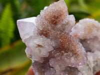Natural Drusy Amethyst Spirit Clusters x 6 From Boekenhouthoek, South Africa