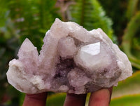 Natural Drusy Amethyst Spirit Clusters x 6 From Boekenhouthoek, South Africa