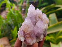 Natural Drusy Amethyst Spirit Clusters x 6 From Boekenhouthoek, South Africa