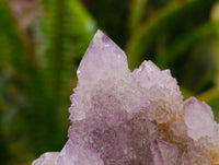 Natural Drusy Amethyst Spirit Clusters x 6 From Boekenhouthoek, South Africa