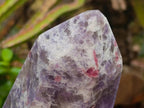 Polished Lepidolite With Pink Rubellite Tourmaline Crystal x 3 From Ambatondrazaka, Madagascar