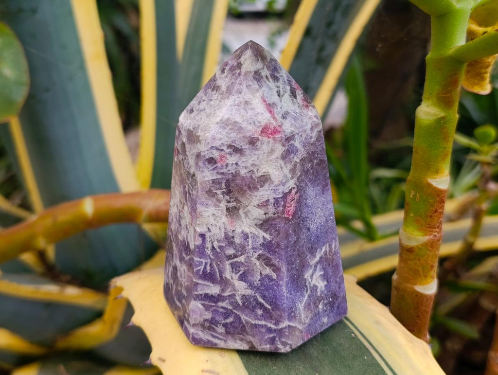 Polished Lepidolite With Pink Rubellite Tourmaline Crystal x 3 From Ambatondrazaka, Madagascar