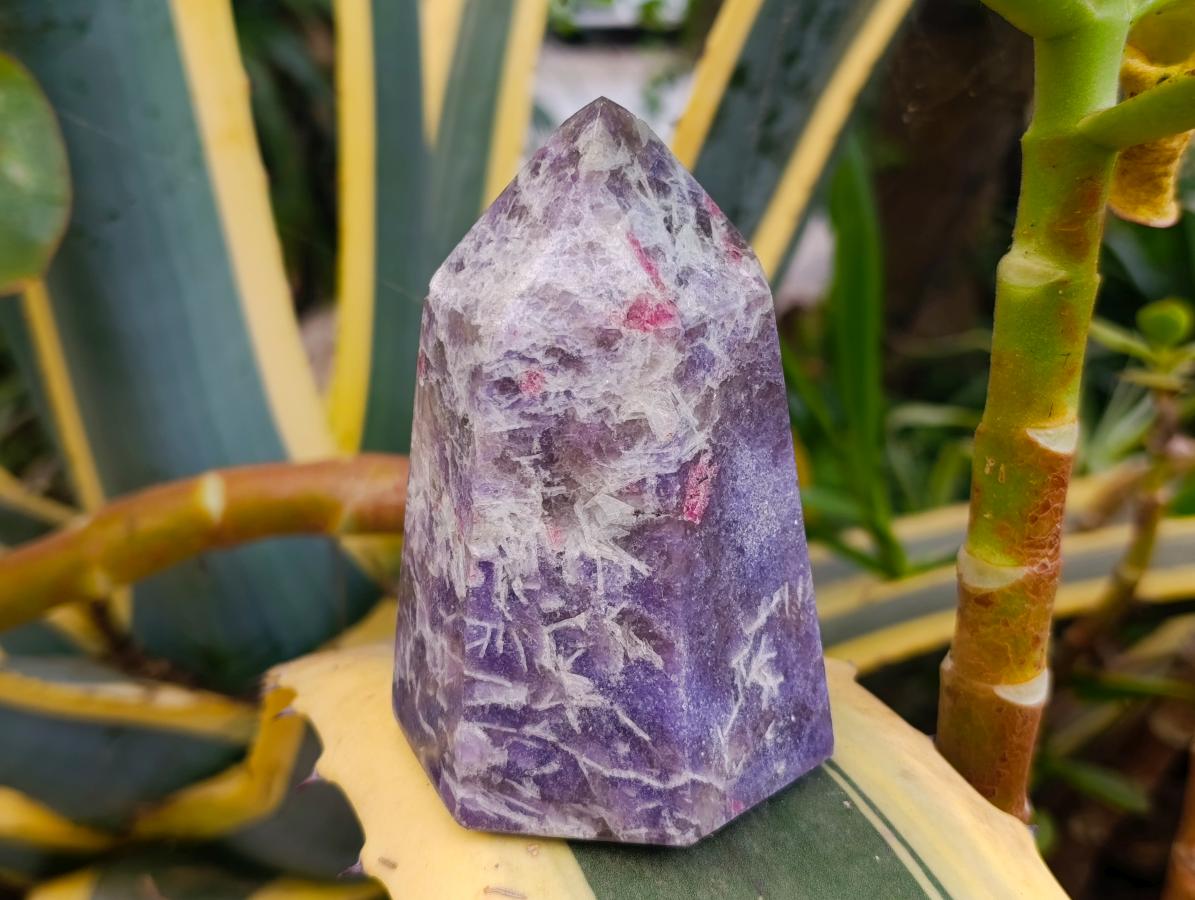 Polished Lepidolite With Pink Rubellite Tourmaline Crystal x 3 From Ambatondrazaka, Madagascar