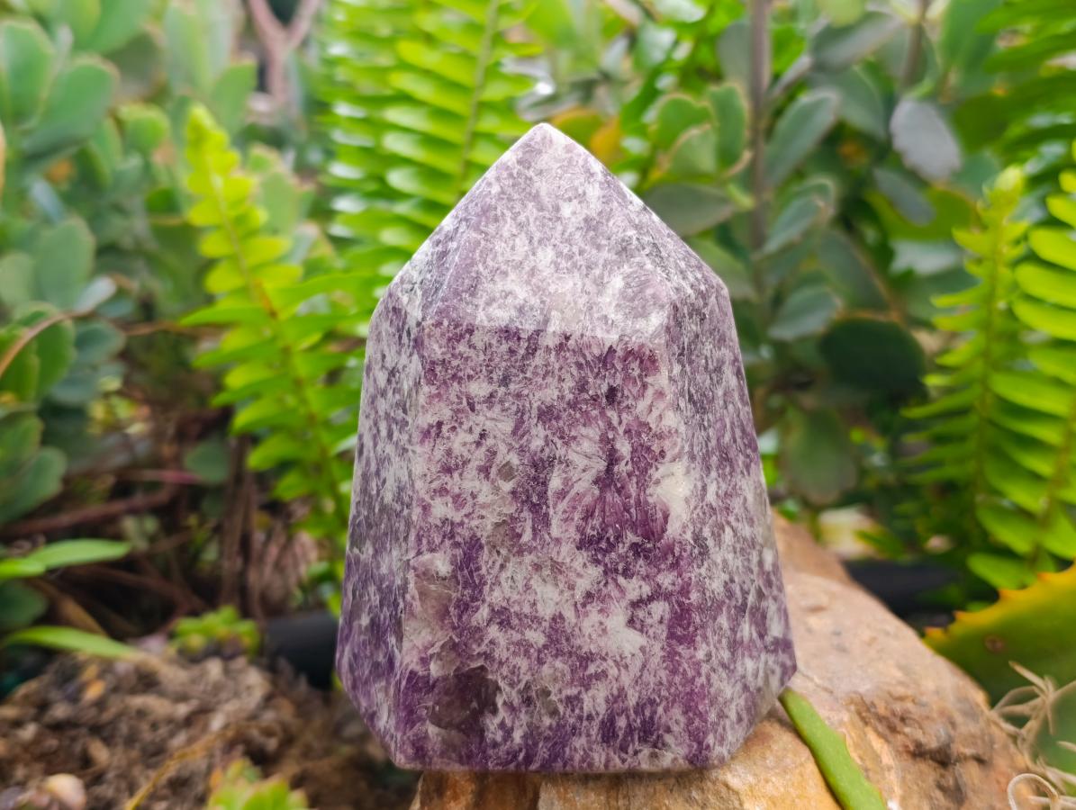 Polished Lepidolite With Pink Rubellite Tourmaline Crystal x 3 From Ambatondrazaka, Madagascar