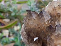 Natural Large Cascading Smokey Citrine Quartz Cluster x 1 From Luena, Congo