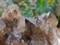 Natural Large Cascading Smokey Citrine Quartz Cluster x 1 From Luena, Congo