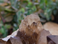Natural Large Cascading Smokey Citrine Quartz Cluster x 1 From Luena, Congo