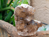 Natural Large Cascading Smokey Citrine Quartz Cluster x 1 From Luena, Congo