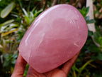 Polished Star Rose Quartz Standing Free Form x 1 From Madagascar