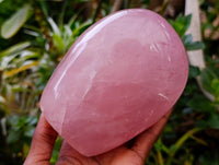 Polished Star Rose Quartz Standing Free Form x 1 From Madagascar