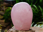 Polished Star Rose Quartz Standing Free Form x 1 From Madagascar