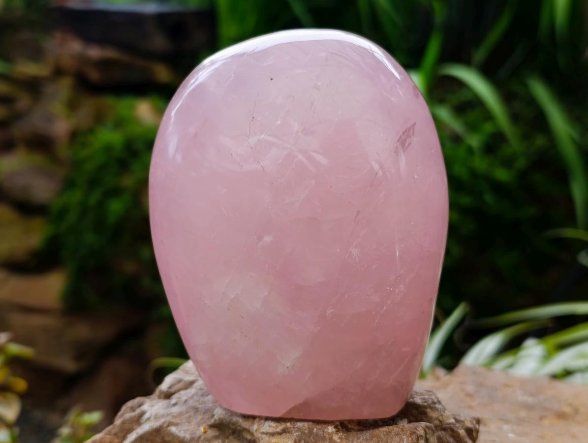 Polished Star Rose Quartz Standing Free Form x 1 From Madagascar