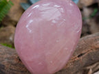 Polished Star Rose Quartz Standing Free Form x 1 From Madagascar