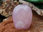 Polished Star Rose Quartz Standing Free Form x 1 From Madagascar