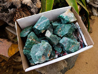 Natural Swazi Jade Cobbed Specimens x 19 From Swaziland