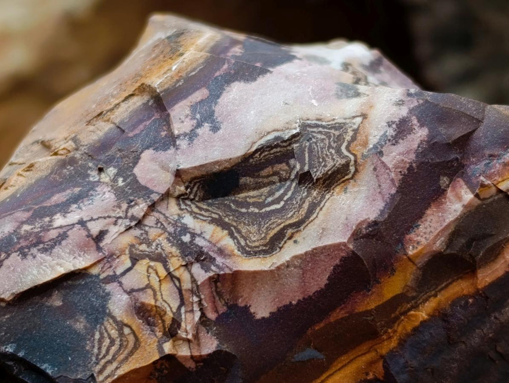 Natural Nguni Jasper Cobbed Specimens x 12 From Northern Cape, South Africa - Toprock Gemstones and Minerals 
