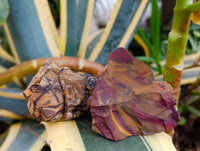 Natural Nguni Jasper Cobbed Specimens x 12 From Northern Cape, South Africa