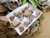 Natural Nguni Jasper Cobbed Specimens x 12 From Northern Cape, South Africa