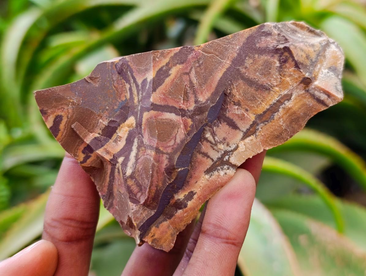 Natural Nguni Jasper Cobbed Specimens x 12 From Northern Cape, South Africa