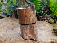 Polished On One Side Petrified Wood Branches x 4 From Gokwe, Zimbabwe