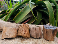 Polished On One Side Petrified Wood Branches x 4 From Gokwe, Zimbabwe