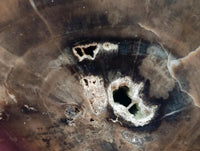 Polished On One Side Petrified Wood Branches x 4 From Gokwe, Zimbabwe