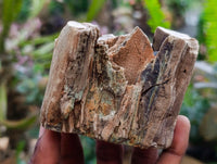 Polished On One Side Petrified Wood Branches x 4 From Gokwe, Zimbabwe