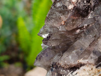 Natural Mixed Specimens x 3 From Southern Africa
