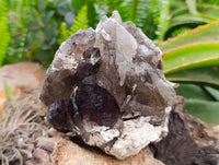 Natural Mixed Specimens x 3 From Southern Africa