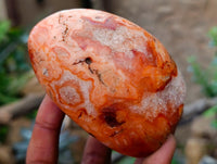 Polished Carnelian Standing Free Forms x 5 From Madagascar