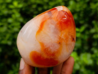 Polished Carnelian Standing Free Forms x 5 From Madagascar