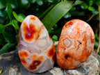 Polished Carnelian Standing Free Forms x 5 From Madagascar - Toprock Gemstones and Minerals 